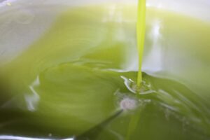 Estrazione Olio di Oliva Extravergine